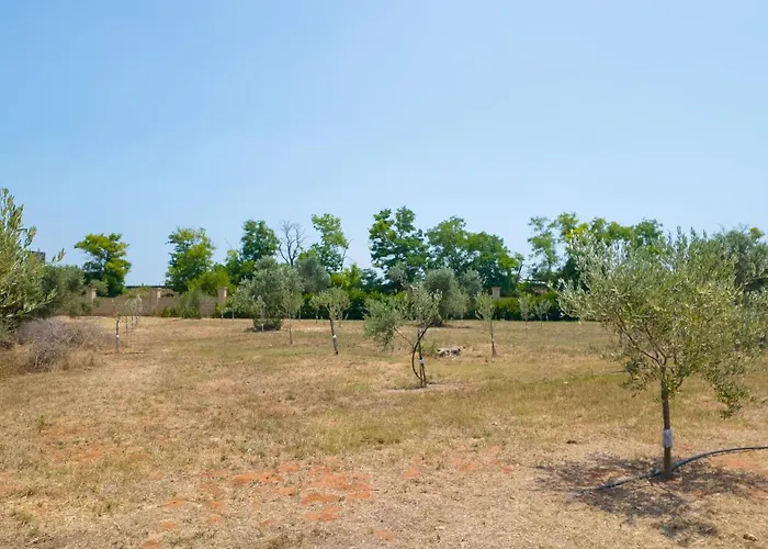 Tenuta Arbanoa * Gallipoli