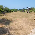 Tenuta Arbanoa *