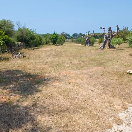 Tenuta Arbanoa *